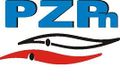 Pzpn logo.jpg